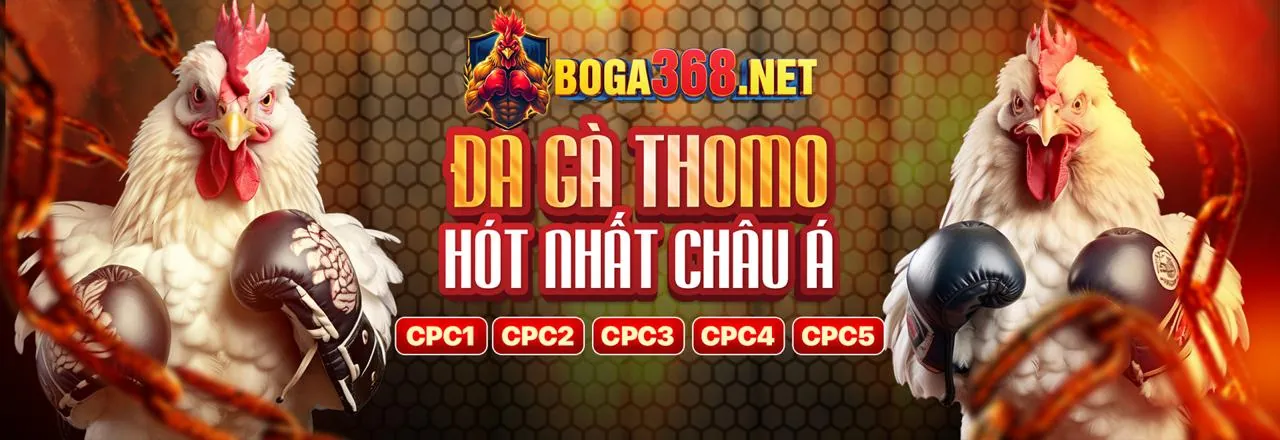Kêu gọi hành động stone27 app